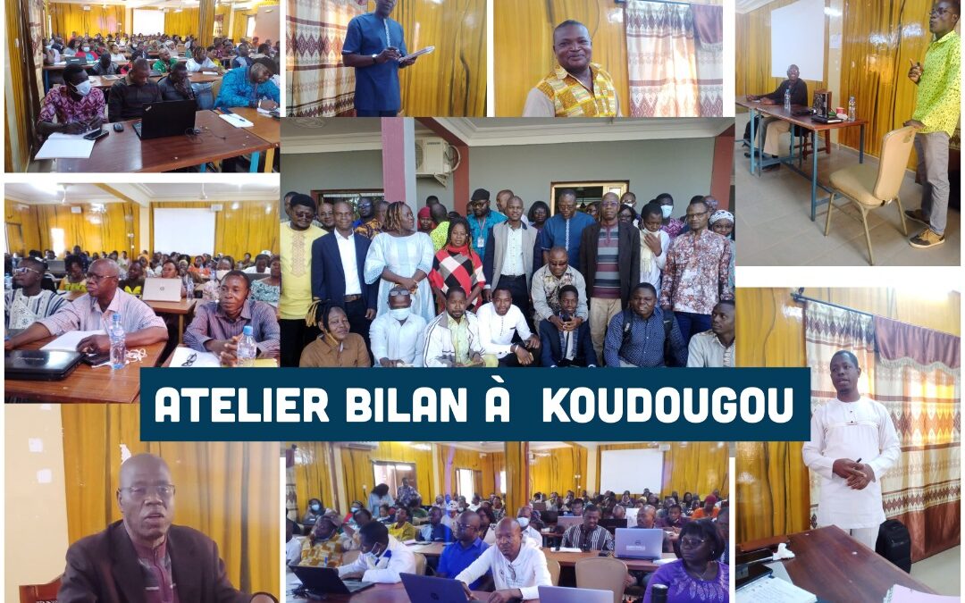 Atelier bilan et de planification des activités (palu-TB-VIH) des OBC : Deuxième session