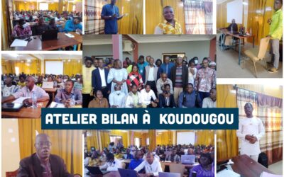 Atelier bilan et de planification des activités (palu-TB-VIH) des OBC : Deuxième session