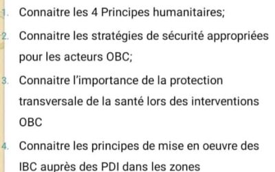 Les mesures adaptives pour l’accès des populations au IBC fournis par les OBC dans un contexte dynamique